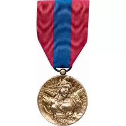 Médaille de la Défense Nationale - Bronze Patiné