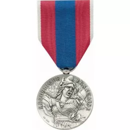 Médaille de la Défense Nationale - Argent
