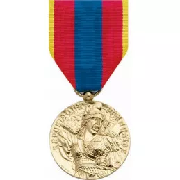 Médaille de la Défense Nationale - Or
