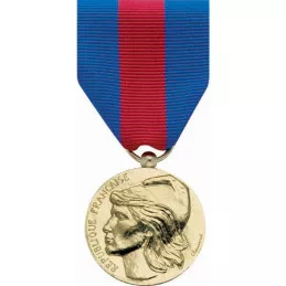 Médaille des Services Militaires Volontaires Bronze