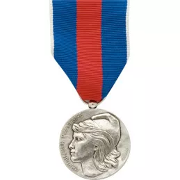 Médaille des Services Militaires Volontaires Argent