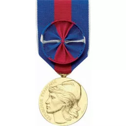 Médaille des Services Militaires Volontaires Or avec Rosette