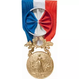 Médaille du Courage et du Dévouement - Or