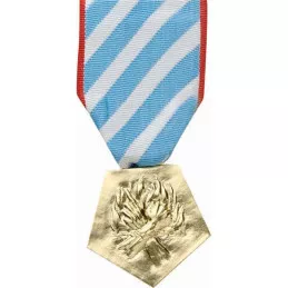 Médaille de l'Internement pour Faits de Résistance