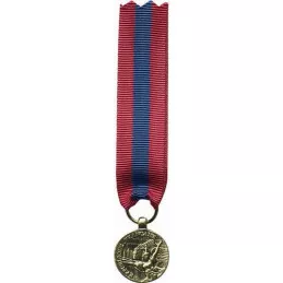 Médaille Réduction de la Défense Nationale - Bronze Patiné
