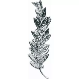 Palmes - Bronze - Or - Argent