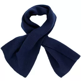 Echarpe Armée de l'Air Bleu Marine
